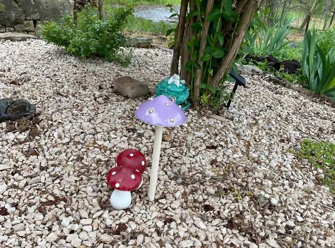 Vaj Bisztró és Apartamento